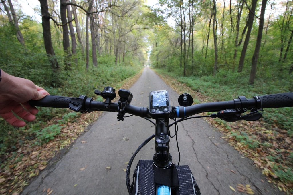 fall, bike ride, cycling, forest, countryside, frees, woods, autumn, electric bike, ebike, leisure, fitness, ebike, ebike, ebike, ebike, ebike