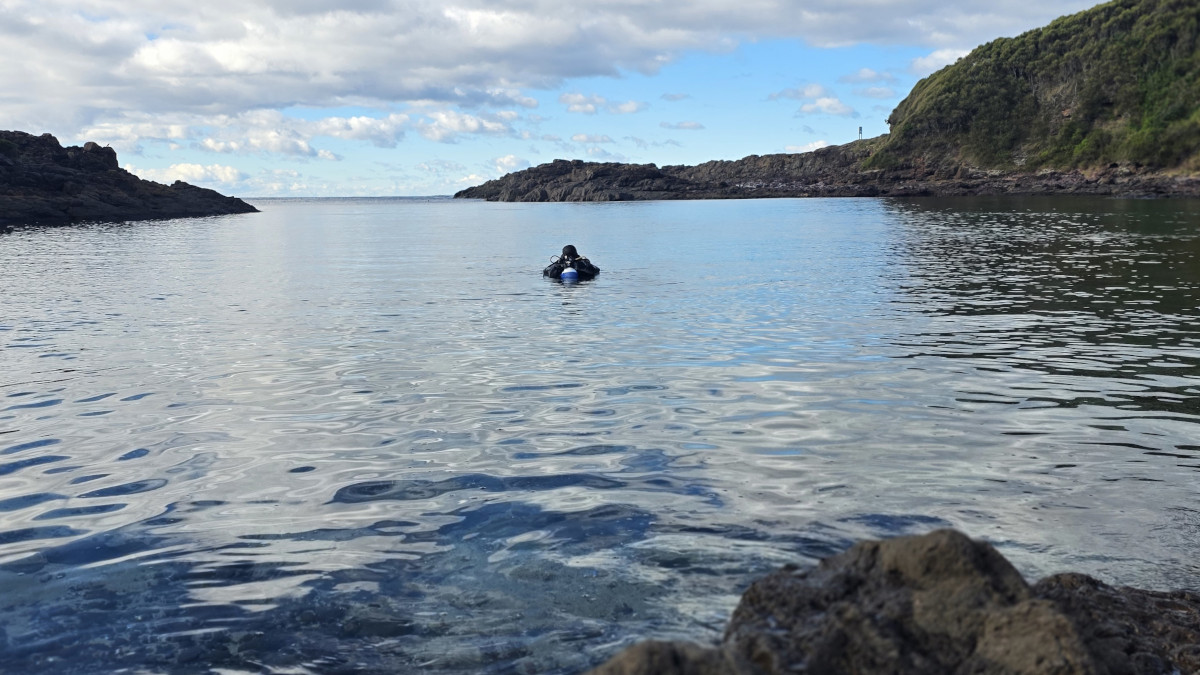 Scuba diver exploring Bushrangers Bay Aquatic Reserve at Bass Point on the Kiama to Shellharbour ebike ride