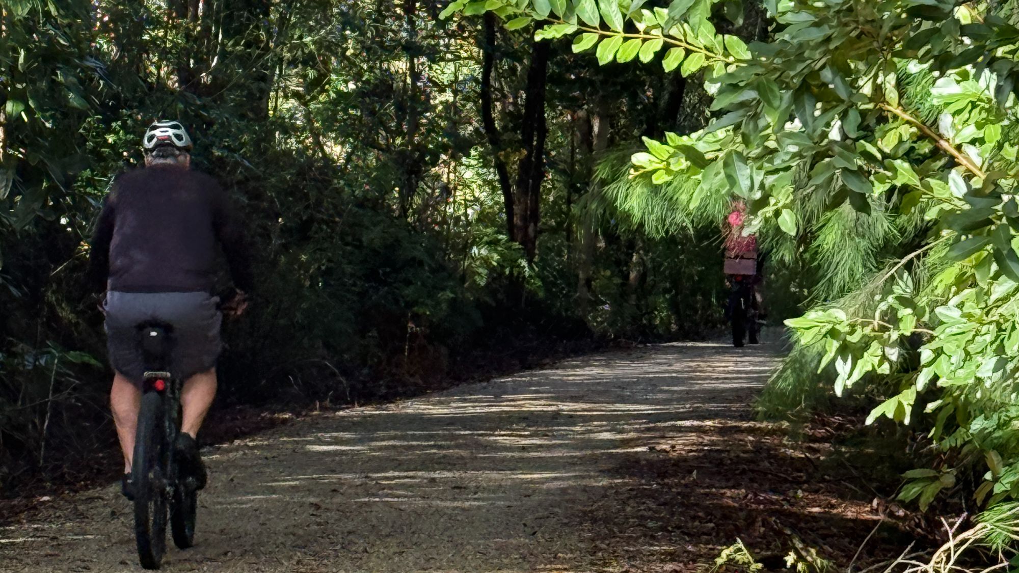 Cyclists riding through forest on the Northern Rivers Rail Trail in North Coast NSW