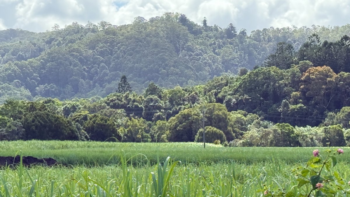 Northern Rivers hinterland near Murwillumbah, NSW