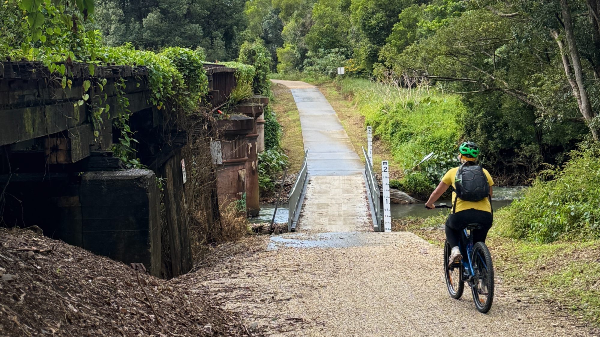 Cyclist riding the Northern Rivers Rail Trail near Murwillumbah