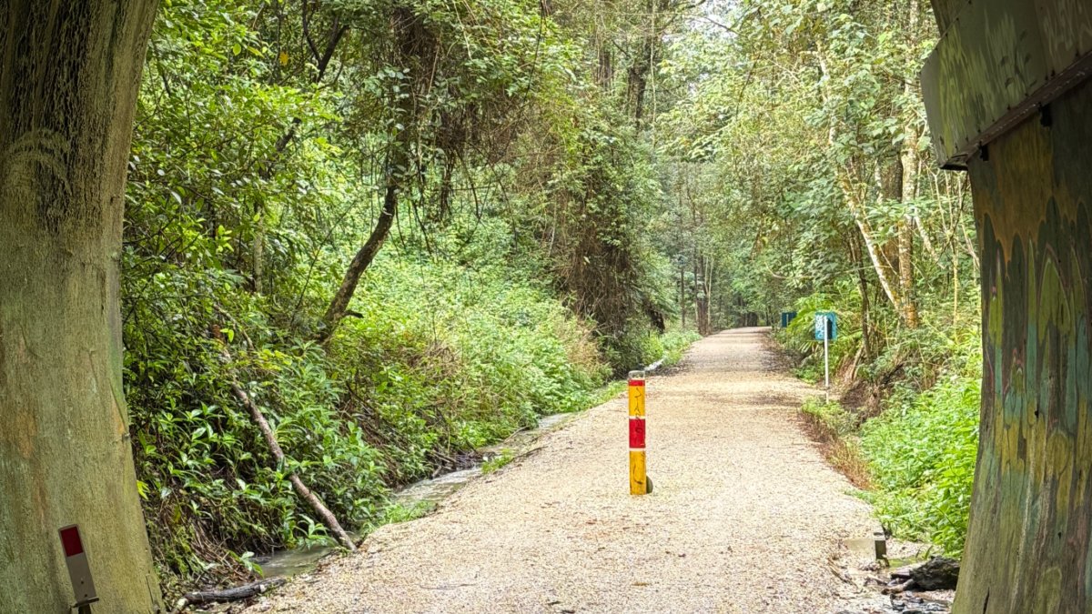 Railway tunnel on the Tweed section of the Northern Rivers Rail Trail